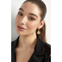 Oorbellen rond Goud Zilver