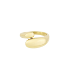 Ring Rosa Goud